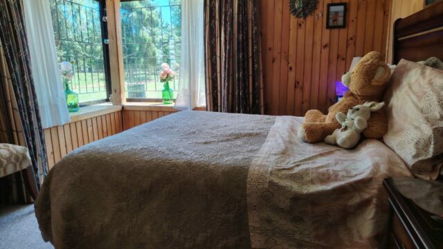 WhatsApp-Image-2025-12-07-at-15.44.34